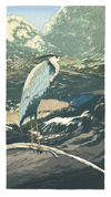 Great Blue Heron, 2nd state