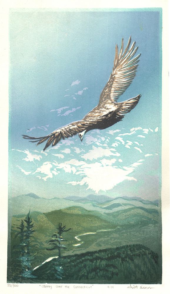 Matt Brown Woodblock Print Osprey Over The Connecticut, edition sold out