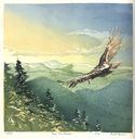 Over Mt Osceola Matt Brown Woodblock Print Over Mt Osceola